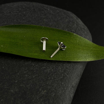 Big Black Star Nose Pin